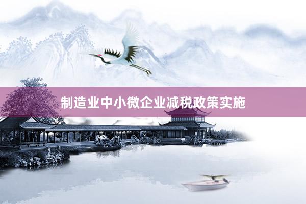 制造业中小微企业减税政策实施