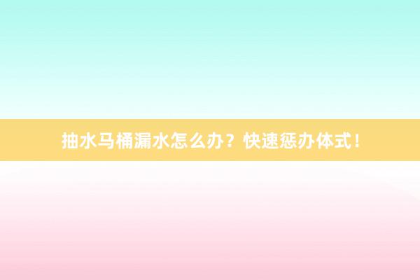 抽水马桶漏水怎么办？快速惩办体式！