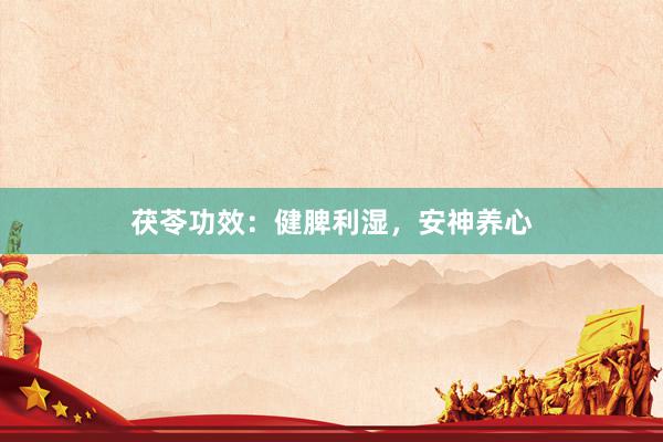 茯苓功效：健脾利湿，安神养心
