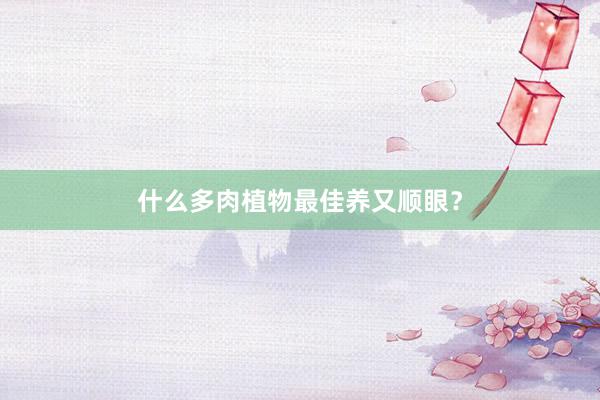什么多肉植物最佳养又顺眼？